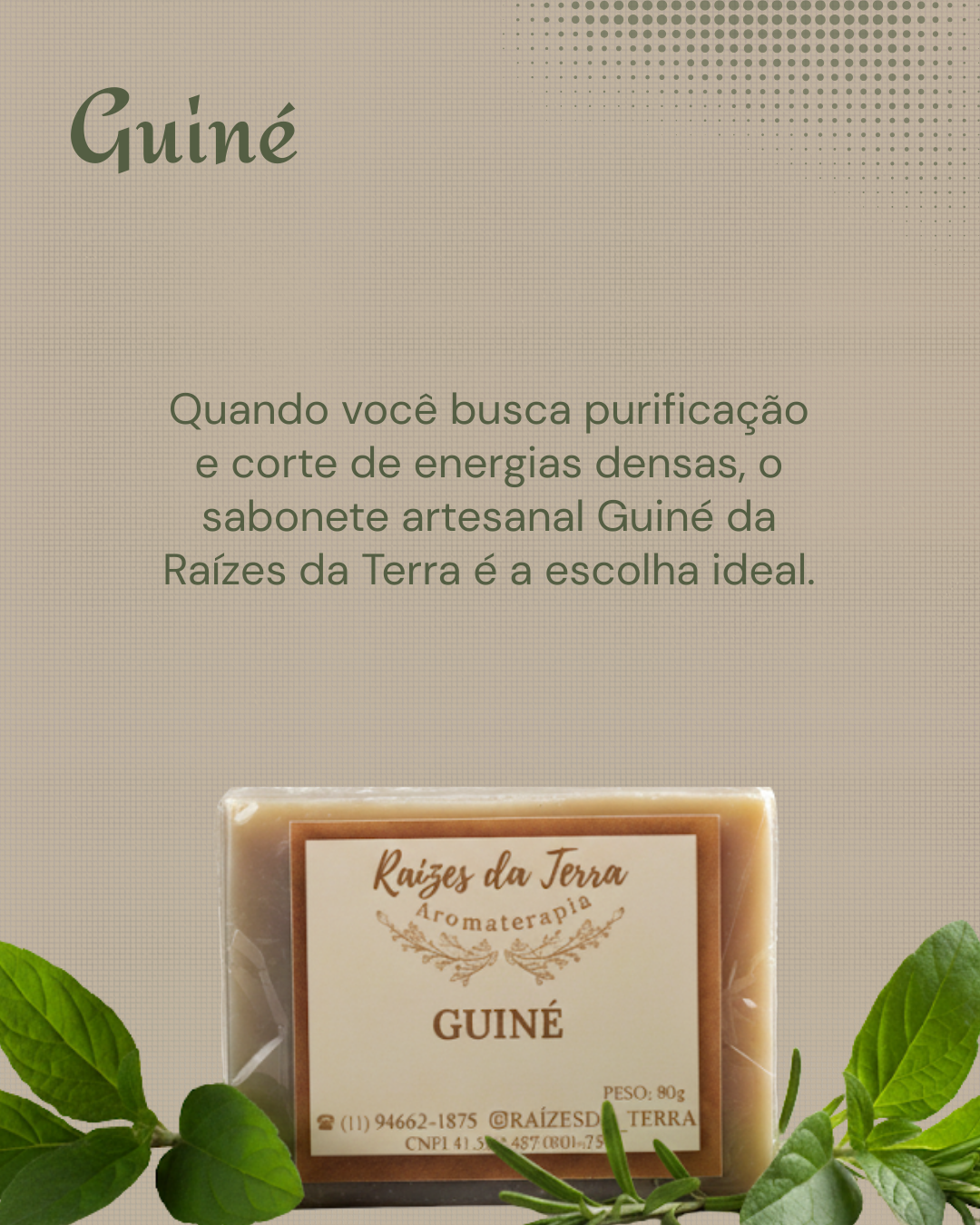 guine 3