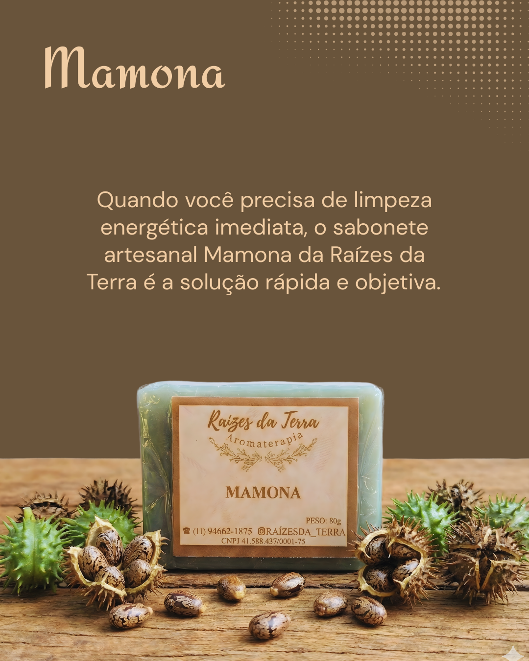 mamona (3)